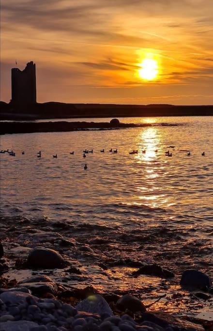 Meadow Lane Leilighet Sligo Eksteriør bilde