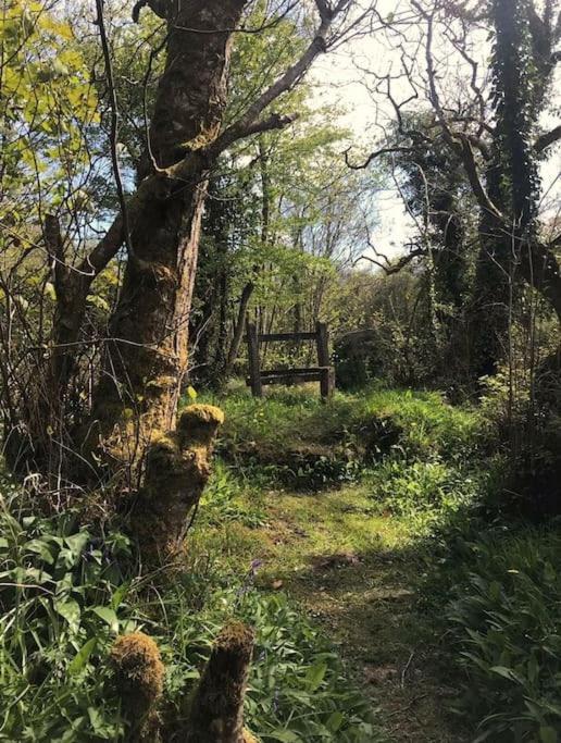 Meadow Lane Leilighet Sligo Eksteriør bilde